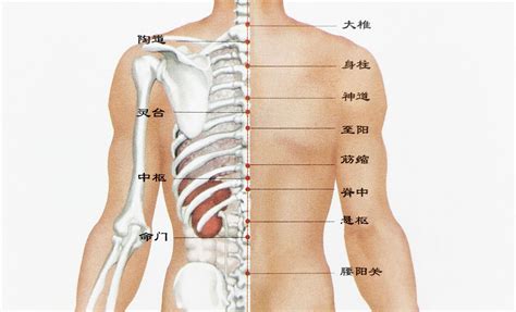 右後背有痣|后背有痣代表什么图解 后背有痣代表什么